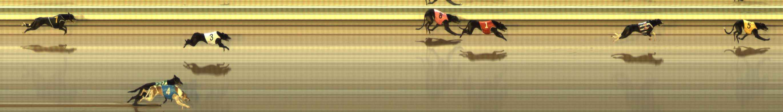 Photo finish for The Meadows Race 9