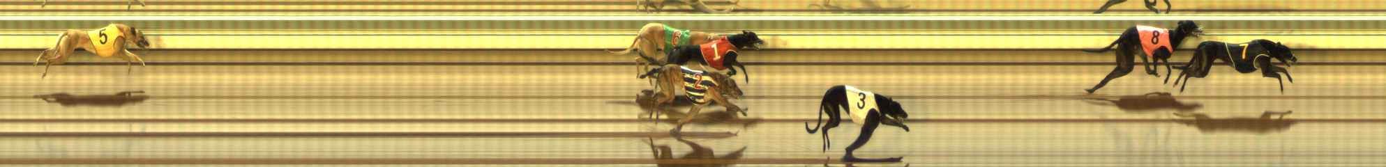 Photo finish for The Meadows Race 10
