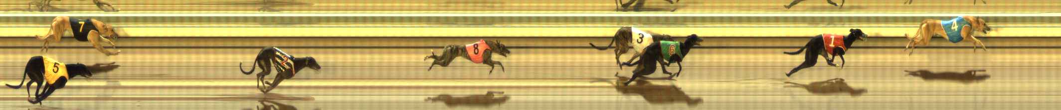 Photo finish for The Meadows Race 11