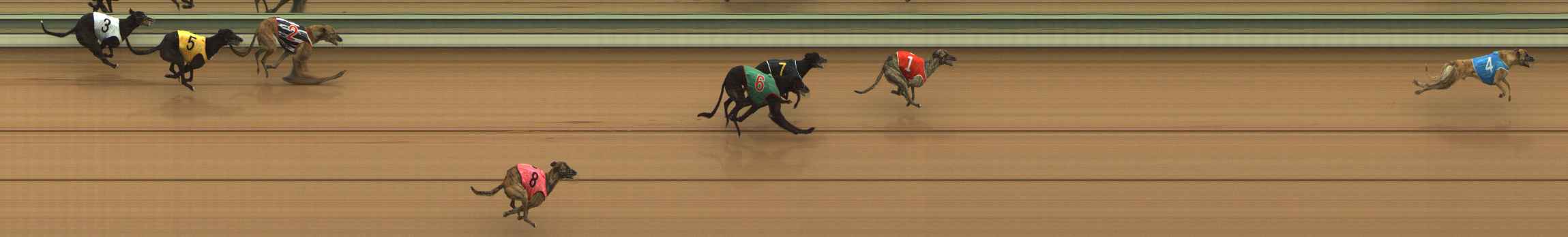Photo finish for The Meadows Race 2