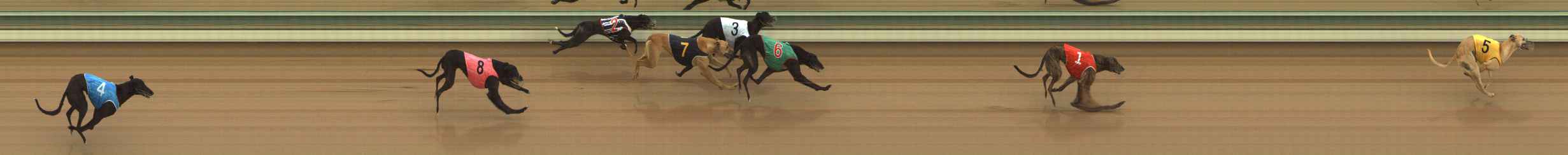 Photo finish for The Meadows Race 3