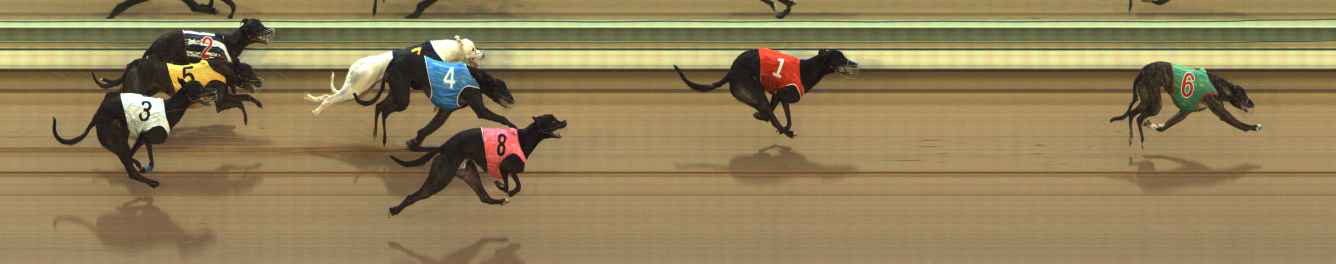 Photo finish for The Meadows Race 5