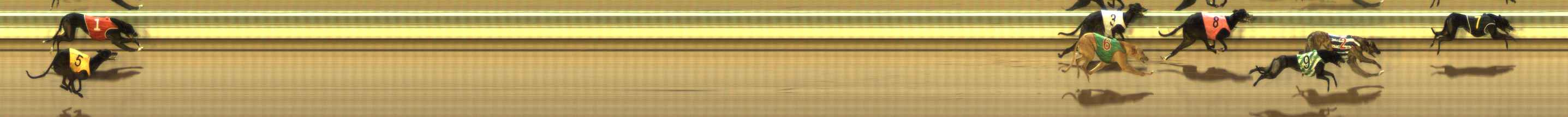Photo finish for The Meadows Race 6