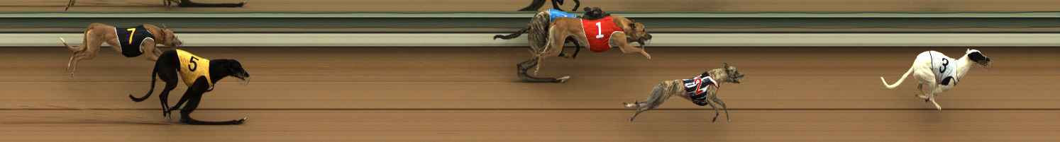 Photo finish for The Meadows Race 1