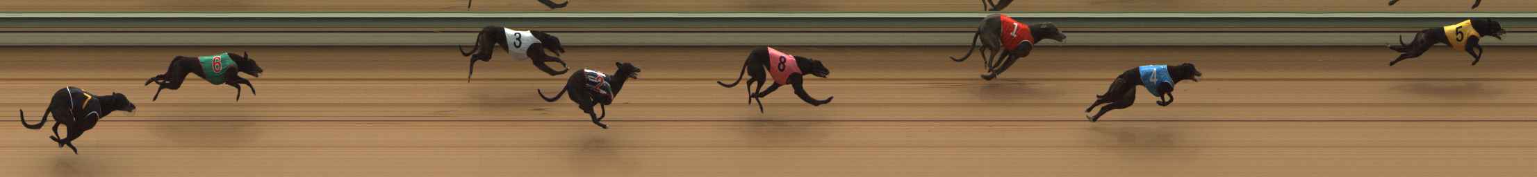 Photo finish for The Meadows Race 2
