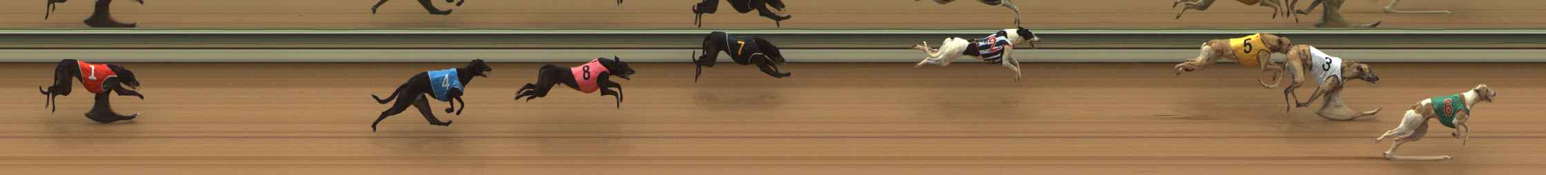 Photo finish for The Meadows Race 3