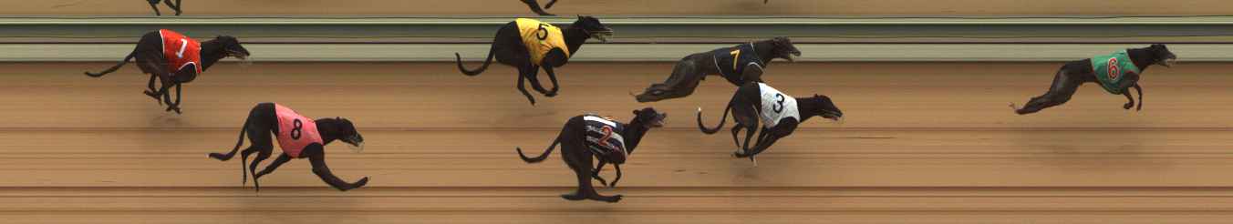 Photo finish for The Meadows Race 6
