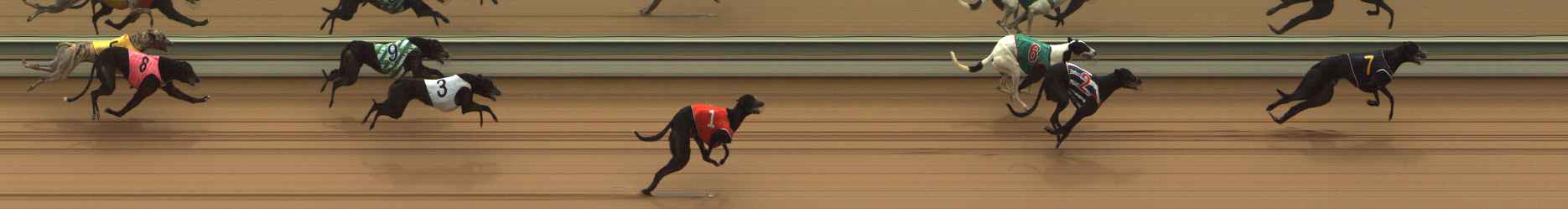 Photo finish for The Meadows Race 7