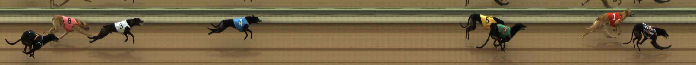 Photo finish for The Meadows Race 8