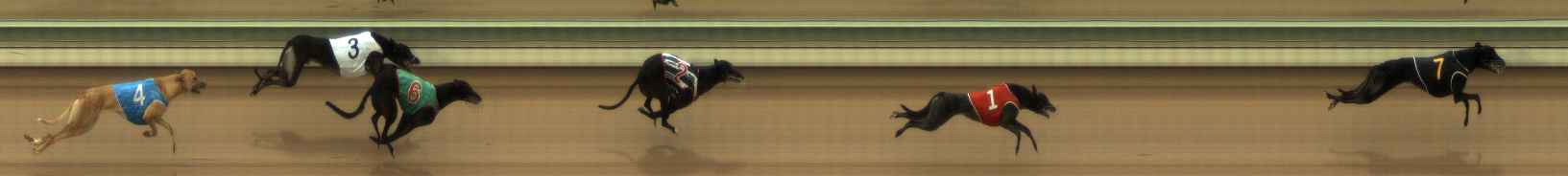 Photo finish for The Meadows Race 9