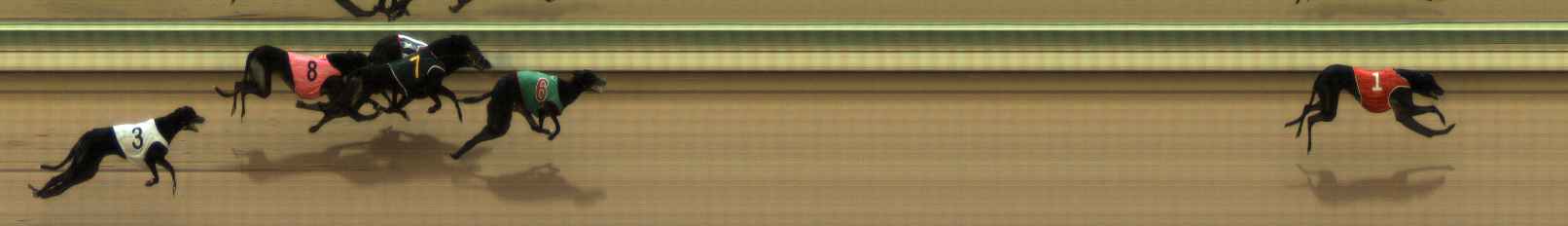 Photo finish for The Meadows Race 10
