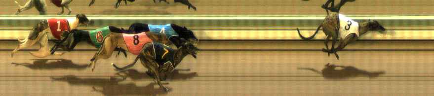 Photo finish for The Meadows Race 11