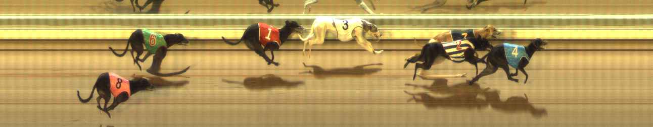 Photo finish for The Meadows Race 12