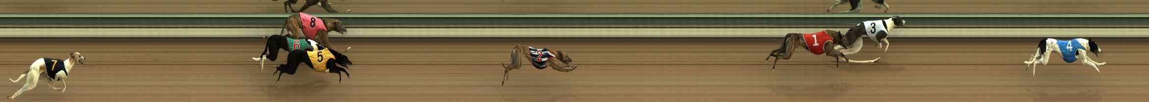 Photo finish for The Meadows Race 1