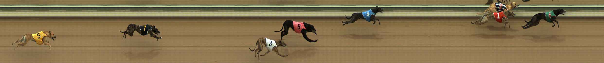 Photo finish for The Meadows Race 2