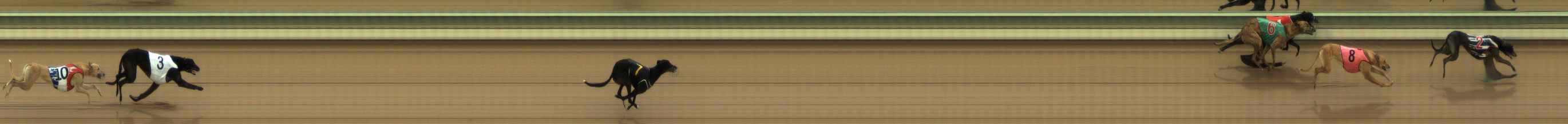 Photo finish for The Meadows Race 3