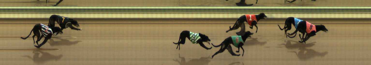 Photo finish for The Meadows Race 4