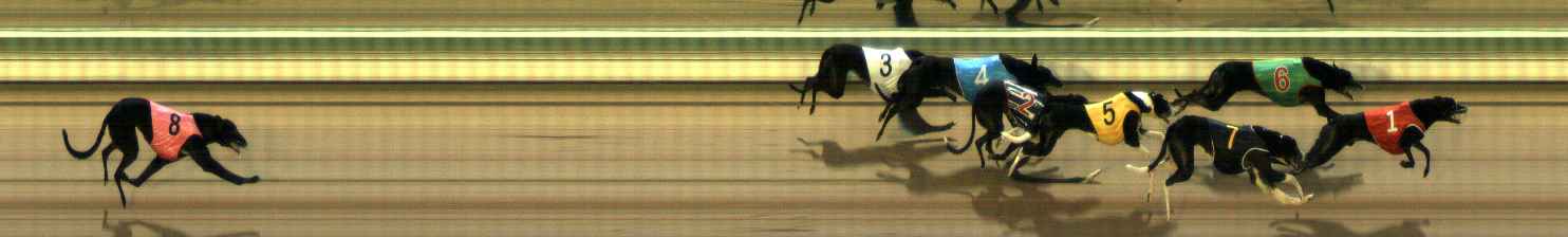 Photo finish for The Meadows Race 5