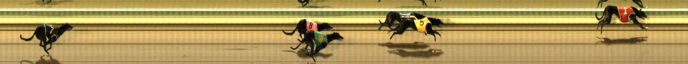Photo finish for The Meadows Race 6