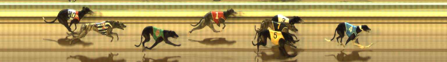 Photo finish for The Meadows Race 7