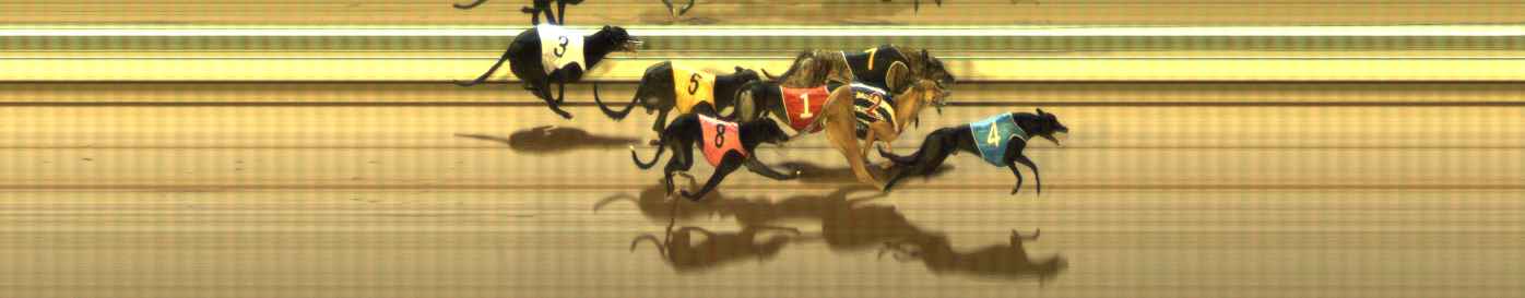 Photo finish for The Meadows Race 8