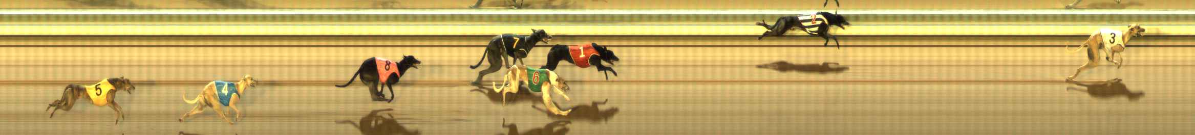 Photo finish for The Meadows Race 10