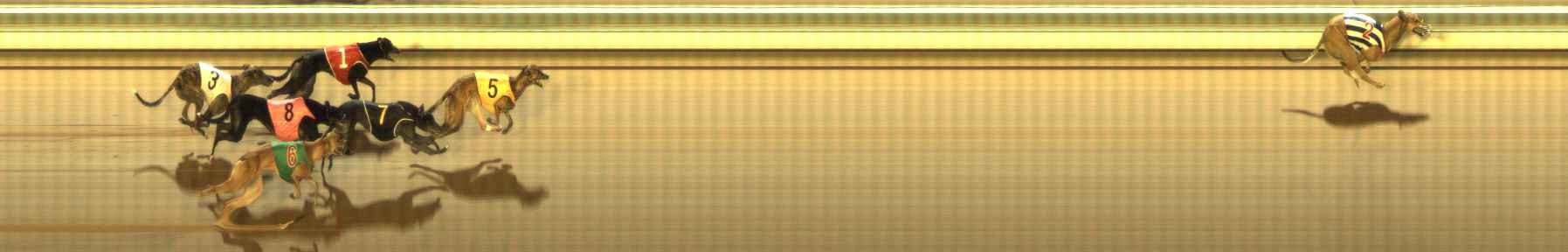 Photo finish for The Meadows Race 12