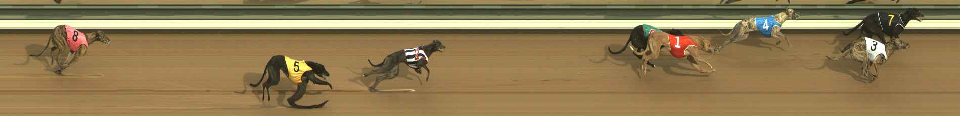 Photo finish for The Meadows Race 1