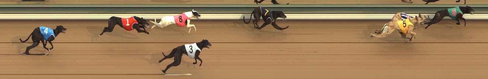 Photo finish for The Meadows Race 2