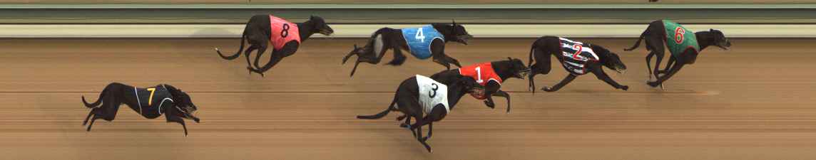 Photo finish for The Meadows Race 3