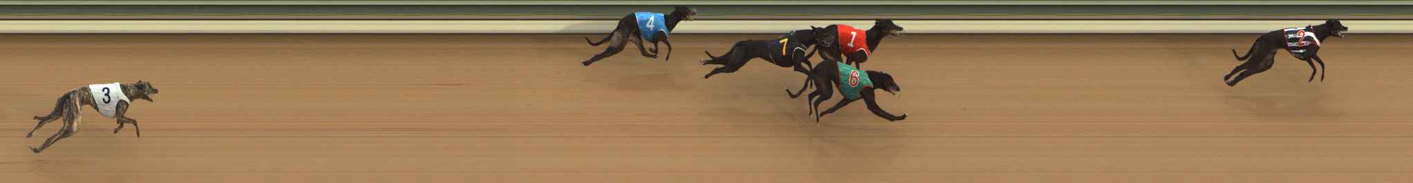 Photo finish for The Meadows Race 4
