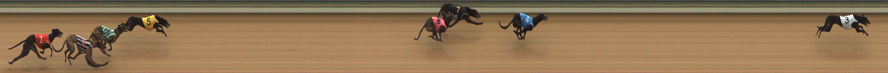 Photo finish for The Meadows Race 5