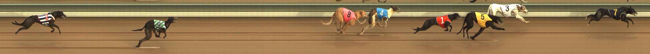 Photo finish for The Meadows Race 6