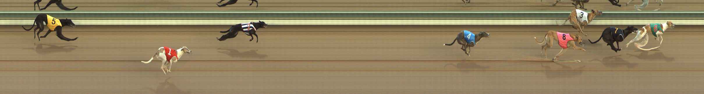Photo finish for The Meadows Race 7