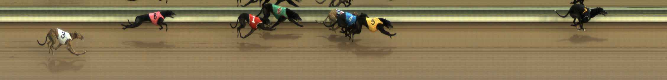 Photo finish for The Meadows Race 8
