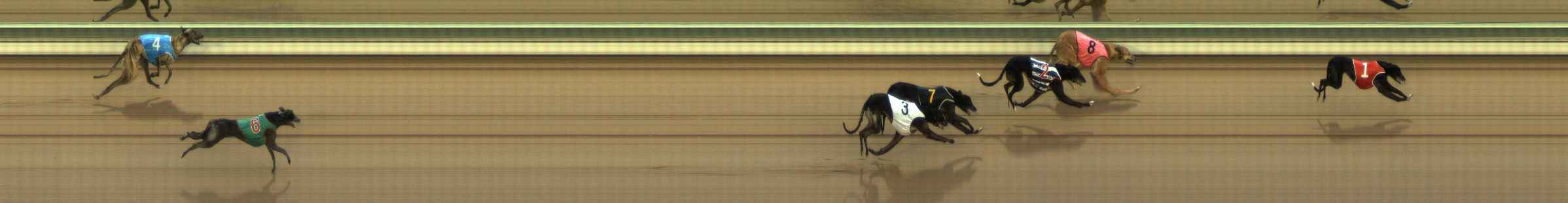 Photo finish for The Meadows Race 9