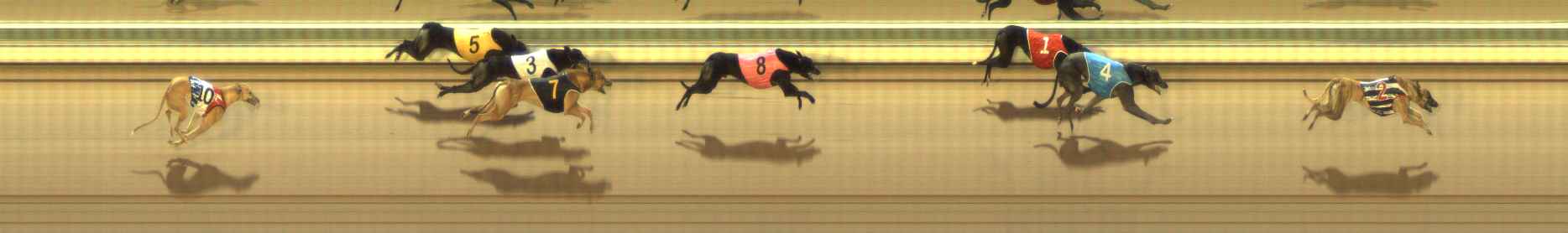 Photo finish for The Meadows Race 10