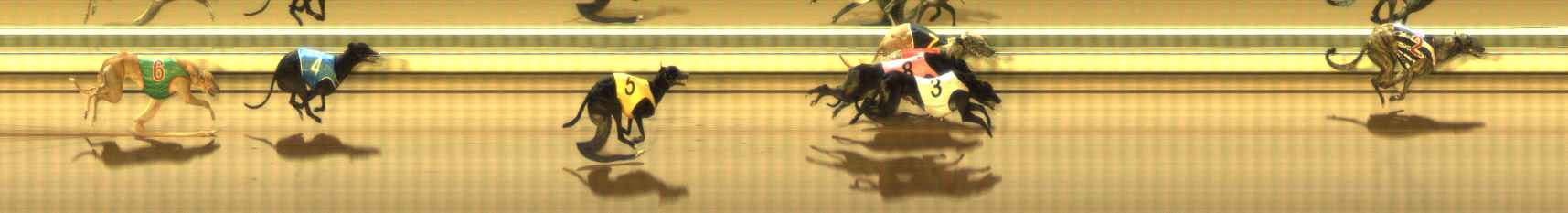 Photo finish for The Meadows Race 11