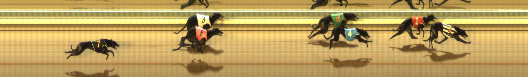 Photo finish for The Meadows Race 12