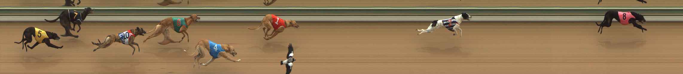 Photo finish for The Meadows Race 2