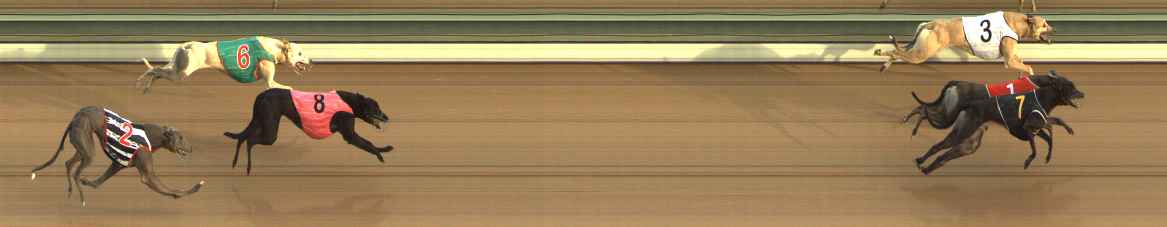 Photo finish for The Meadows Race 3
