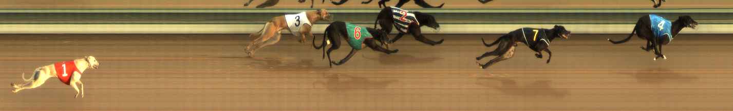 Photo finish for The Meadows Race 4