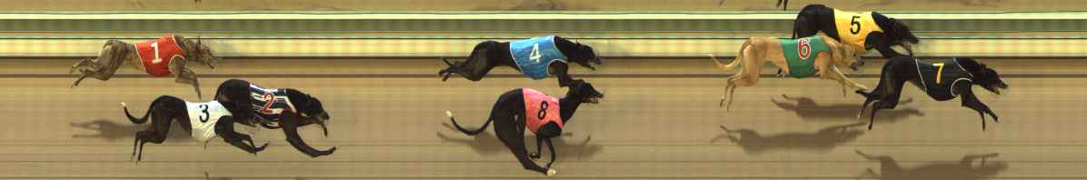 Photo finish for The Meadows Race 5