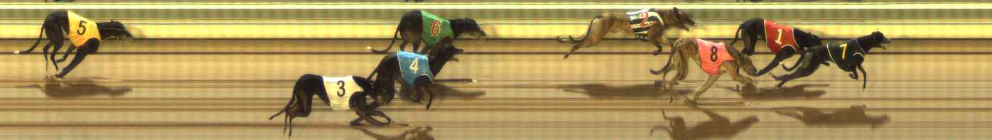 Photo finish for The Meadows Race 6