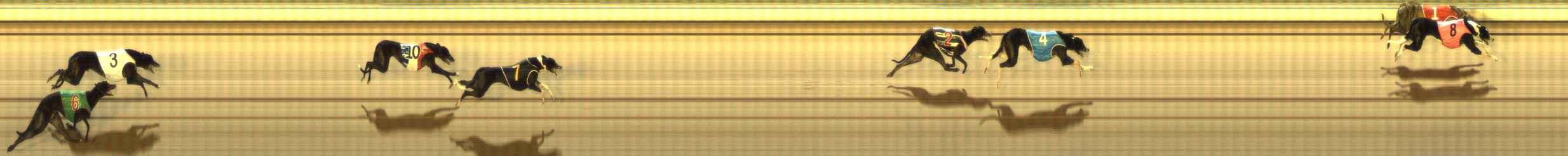 Photo finish for The Meadows Race 7