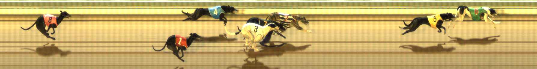 Photo finish for The Meadows Race 8