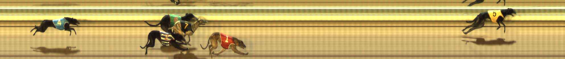 Photo finish for The Meadows Race 9
