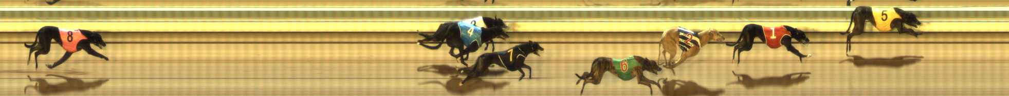 Photo finish for The Meadows Race 10