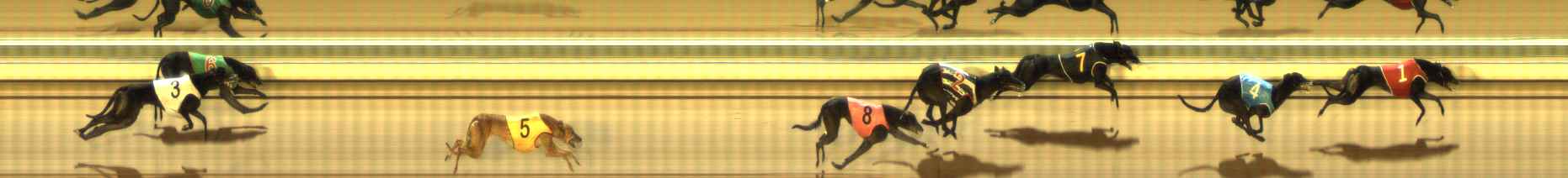 Photo finish for The Meadows Race 11
