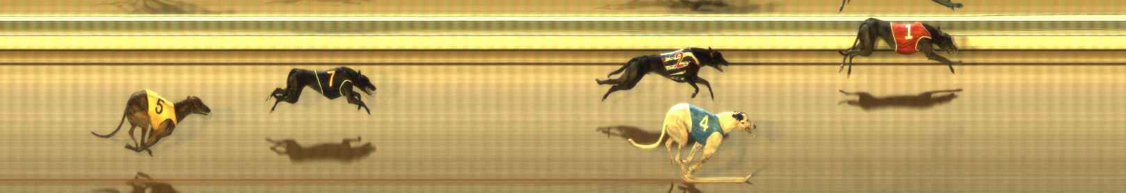 Photo finish for The Meadows Race 12